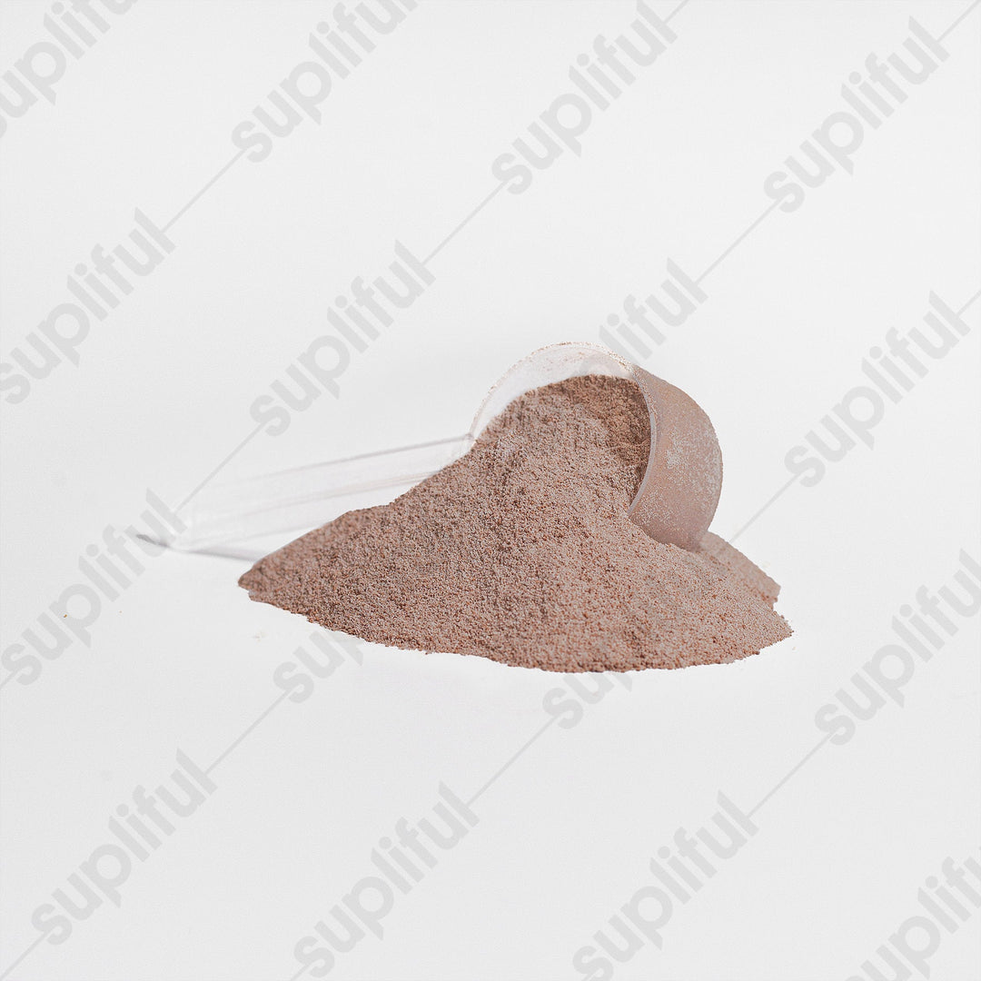 Whey Protein Isolate (Chocolate) - Summon Fitness